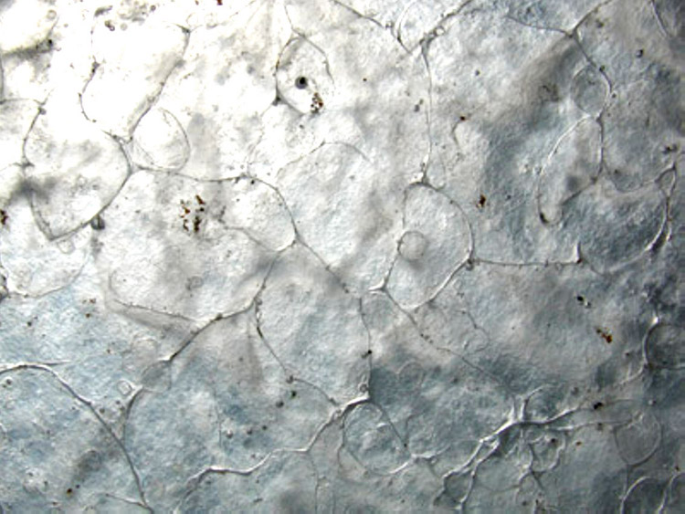 Atelier Jean-Dominique Fleury à Bruniquel (12) pour les vitraux de Conques par Pierre Soulages : détail de la surface d'une plaque de vitrail constituée de grains de verre cristallisés en leur périphérie